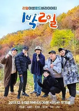 乘风破浪5 封面